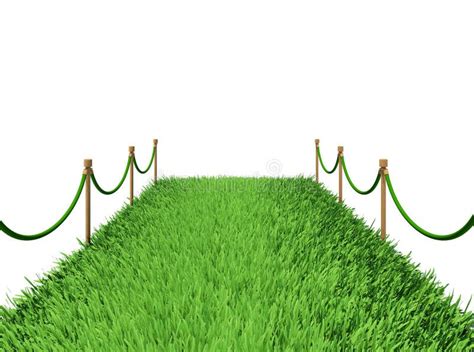 Path Of Green Grass Stock Photo Image Of Ecological 35237614