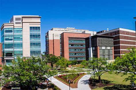 About The Medical University Of South Carolina Musc Charleston Sc