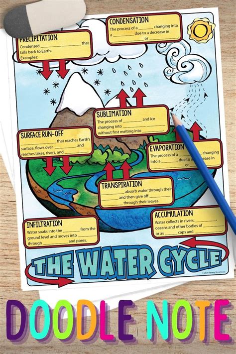 The Water Cycle Doodle Notes Graphic Organizer Science Doodle Notes
