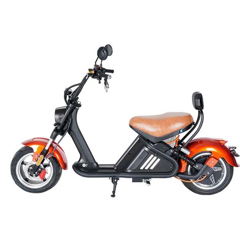 Electric Scooter Charging Citycoco M2 Mangosteen