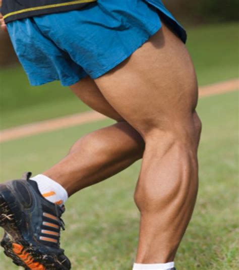 Medial and lateral heads of the gastrocnemius muscle. How to Build Awesome Calves