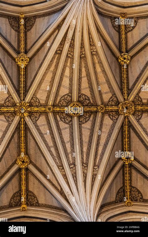 England London Westminster Abbey The Nave Pattern Detail Of The The