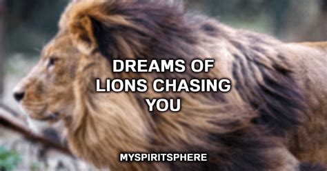Lion Chasing You 11 Dream Interpretations