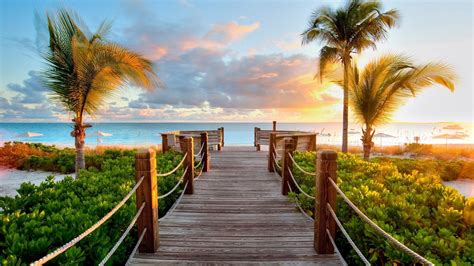 20 Selected Desktop Background Tropical You Can Save It Free Of Charge
