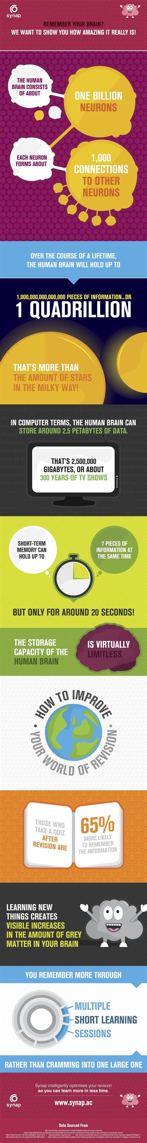 Your Amazing Memory Infographic E Learning Infographics