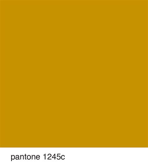 Pantone 1245c Mustard Yellow Walls Golden Artist Colors Solid Color
