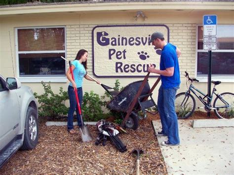 Just follow the steps below to join us. Gainesville Pet Rescue/ Pledge5 | Animal rescue, Pets