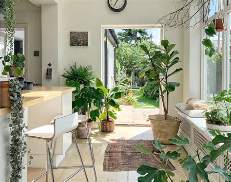 Home Interior Greenery