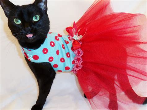 Pet Cat Clothing Dress The Dog Clothes For Your Pets