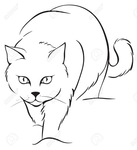 Line Drawing Of Cat At Getdrawings Free Download