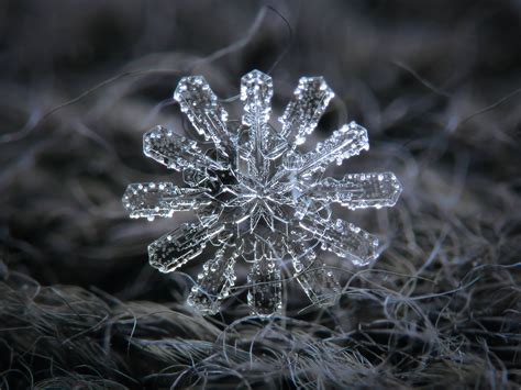 Pin On Snowflakes