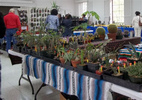 Sacxs stands for san antonio cactus & xerophyte society. Rock-Oak-Deer: San Antonio Cactus & Xerophyte Society ...