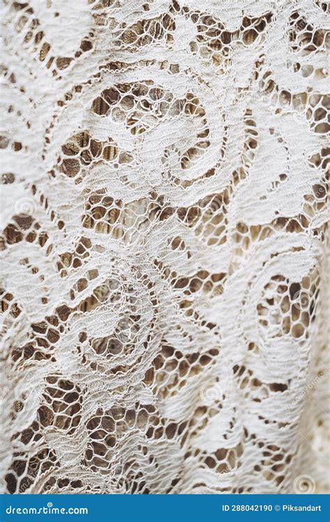 Vintage White Lace Fabric With Embroidered Patterns Stock Photo Image