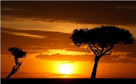 Sunriseset Over Africa Kenya Safari Safari Holidays Safari