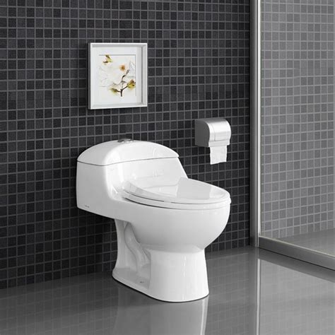 Modern One Piece Toilet Hl Interiors