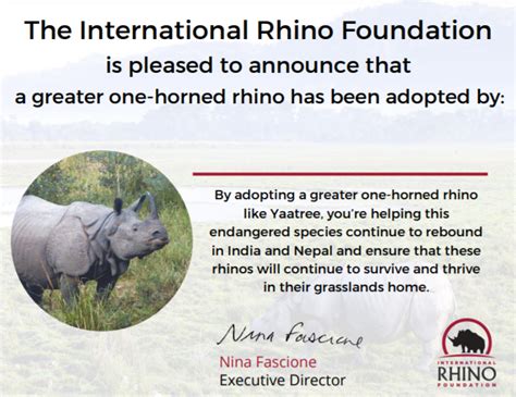 International Rhino Foundation Adopt A Rhino Today Rhinoleather