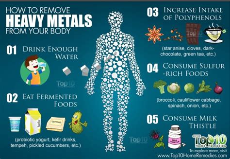 Heavy Metals Stored Within Your Body Yes You Probably Have Them