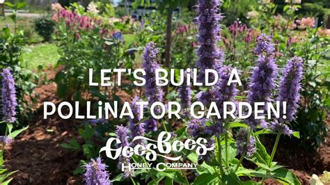 Lets Build A Pollinator Garden Youtube