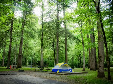 Guide To Camping In Great Smoky Mountain National Park Outdoor Project