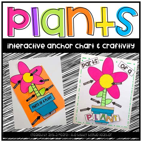 Parts Of A Plant Anchor Chart