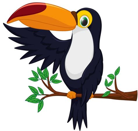 Piciformes Clipart 20 Free Cliparts Download Images On Clipground 2021
