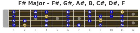 Bass Guitar Fretboard Diagrams For Every Major Scale With Notes Marked Sexiz Pix