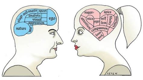 Uomini E Donne Hanno Cervelli Diversamente Connessi Focusit