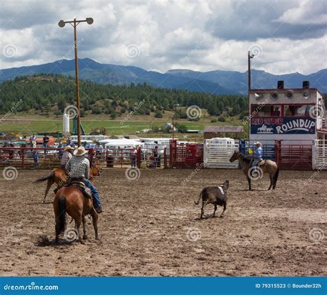 Ranchers Competing At A Rodeo In Colorado Editorial Stock Photo Image