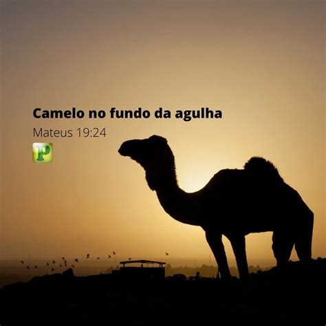Descobrir Imagem Camelo No Fundo Da Agulha Br Thptnganamst Edu Vn
