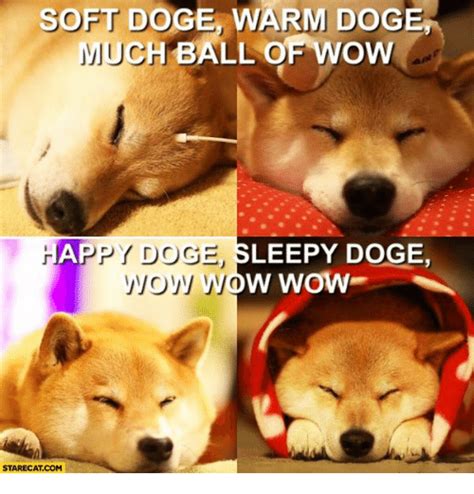 Soft Doge Warm Dog H Ball Of Wow Happy Doge Leepy Doge Wow Wow Wow