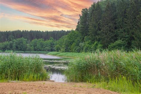 Beautiful Summer Landscape Of Lakes And Forests In Belarus Stock Image