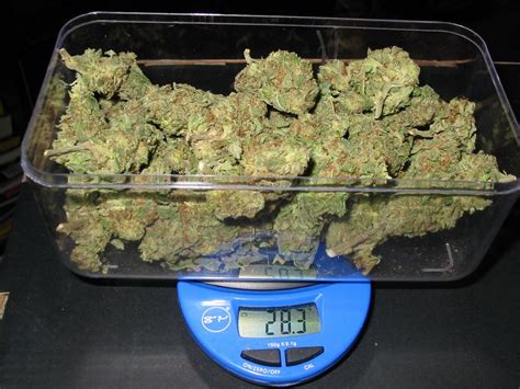 How much does 2 ounces weigh in grams? how many grams in an ounce - STUFF STONERS LIKE