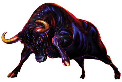 Ox Animal Png Images Png All