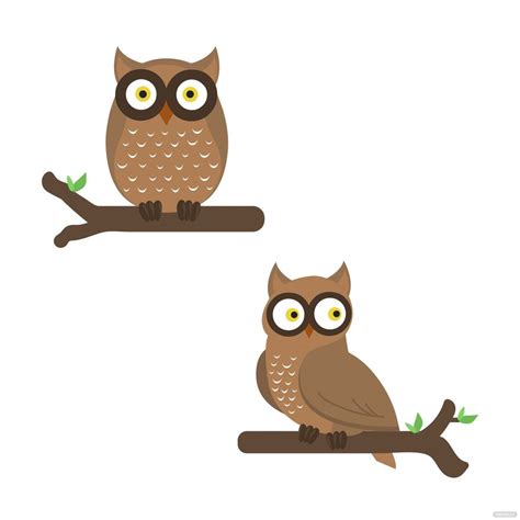 Owl Vector In Illustrator Svg  Eps Png Download