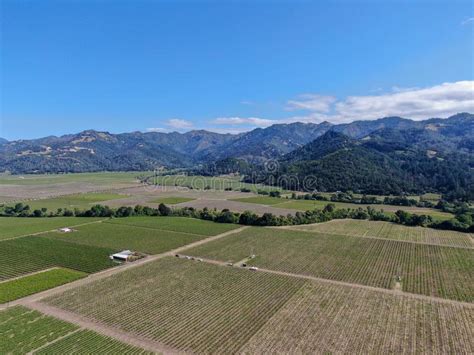 Aerial View Of Wine Vineyard In Napa Valley Stock Photo Image Of