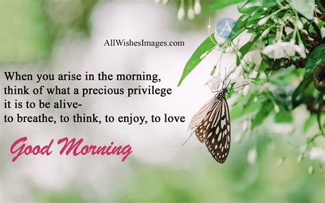 Good Morning Quotes In English For WhatsApp GM Images With Quotes