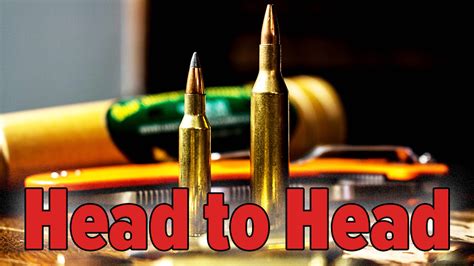 Head To Head 17 Hornet Vs 17 Remington An Official Journal Of The Nra