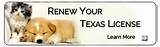 Images of Texas State Board Of Dental Examiners License Renewal