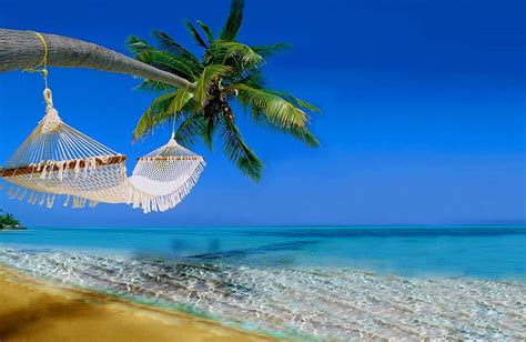 Beach Hammock Isle Shore Holidays Sun Palm Hammock Sea Beach Tropic Hd Wallpaper Peakpx