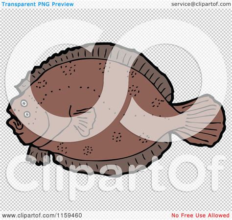 Cartoon Of A Flounder Fish Royalty Free Vector Illustration By
