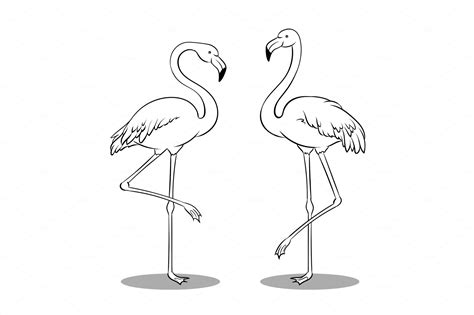 The burgess bird book for children. Pink flamingo bird coloring book vector ~ Illustrations ...