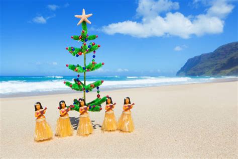 Hawaiian Christmas Stock Photos Pictures And Royalty Free Images Istock
