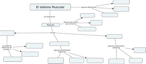 Sistema Oseo Muscular Mapa Conceptual Sistema Oseo Muscular