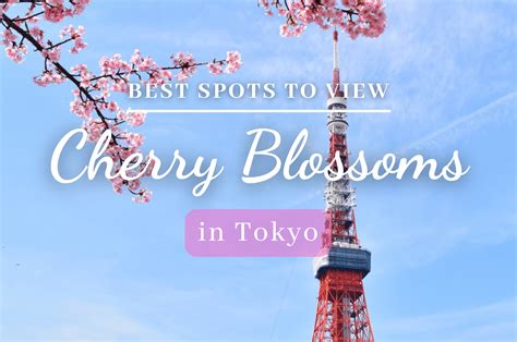 16 Best Places To See Cherry Blossoms In Tokyo Japan Web Magazine
