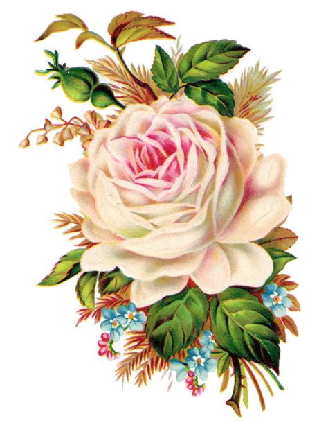 12 Free Vintage Rose Images Vintage Roses Decoupage Printables
