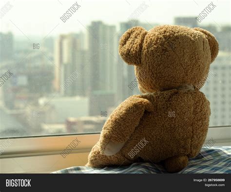Sad Brown Teddy Bear Image And Photo Free Trial Bigstock