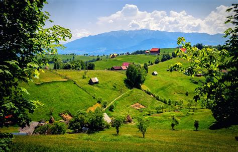Wallpaper Mountains Field Meadows Romania Brasov Brasov Images For