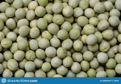 Peas Pisum Sativum Stock Image Image Of Freshness Fruit 250602647