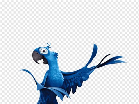 Rio De Janeiro Jewel Parrot Blu Bird Rio Computer Wallpaper Vertebrate Fictional Character
