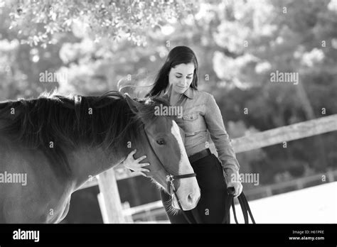 Equestrian Black And White Stock Photos And Images Alamy